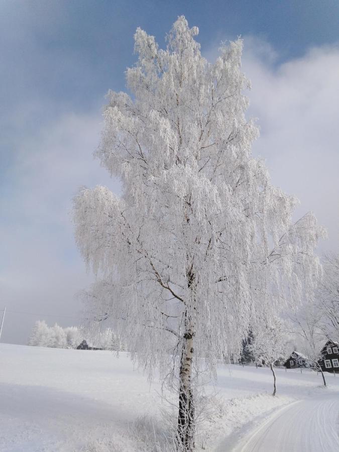 Sirovka Villa Horni Polubny ภายนอก รูปภาพ