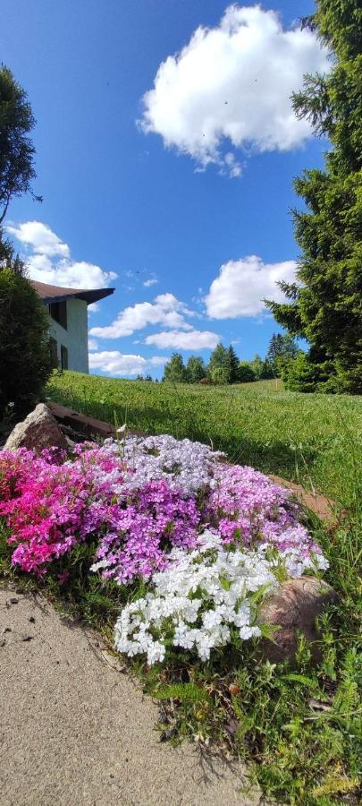 Sirovka Villa Horni Polubny ภายนอก รูปภาพ